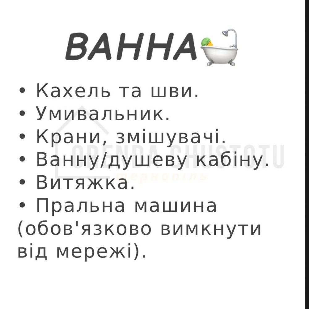 Оренда професійного пароочисника