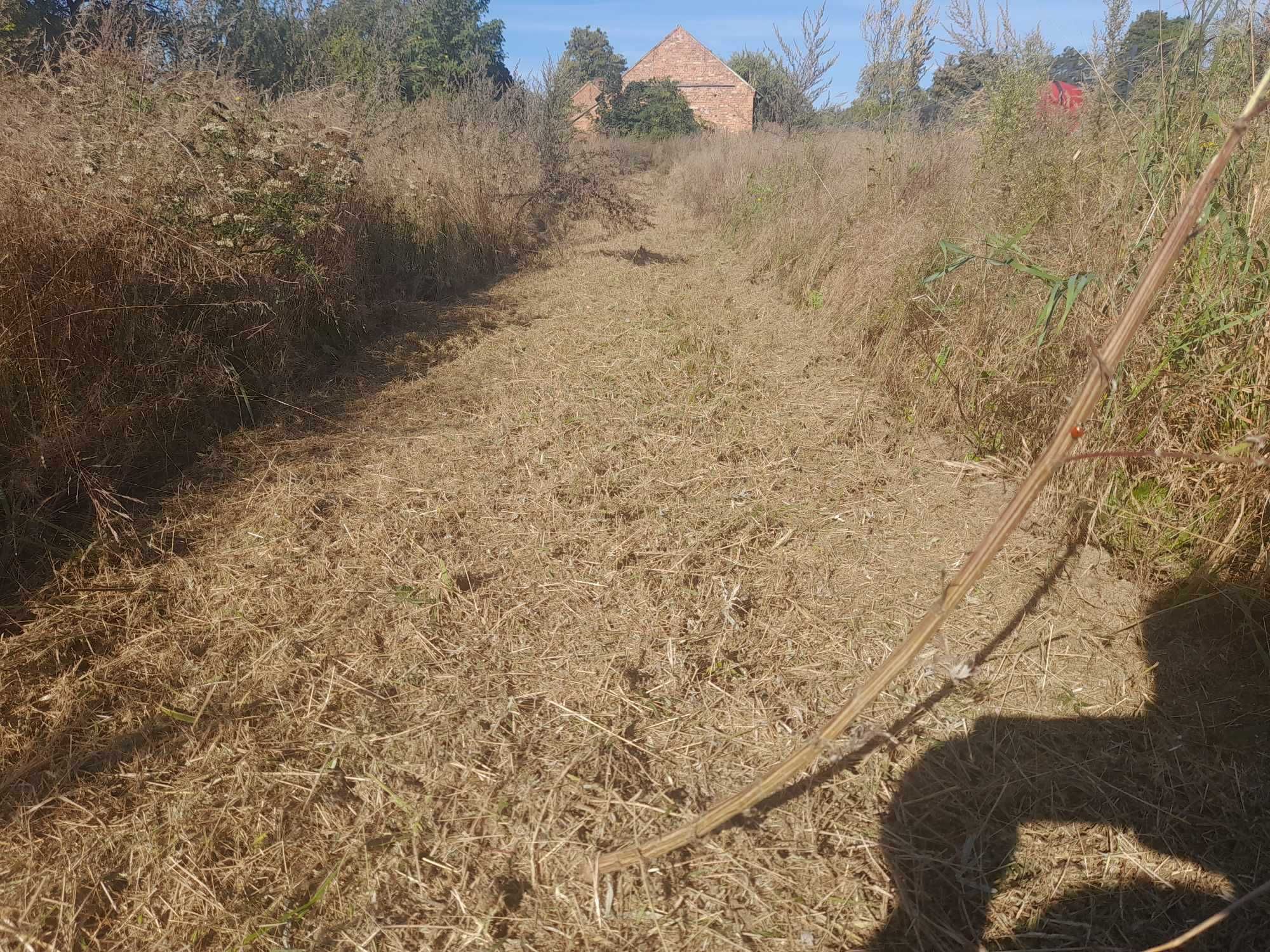 wykaszanie działek, nieużytków/ mulczowanie/ koszenie