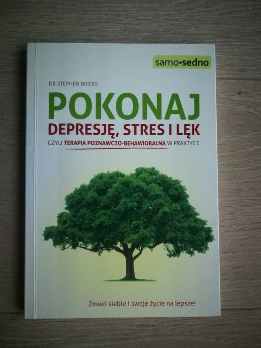 Pokonaj depresję, stres i lęk terapia poznawczo behaw S. Briers NOWA