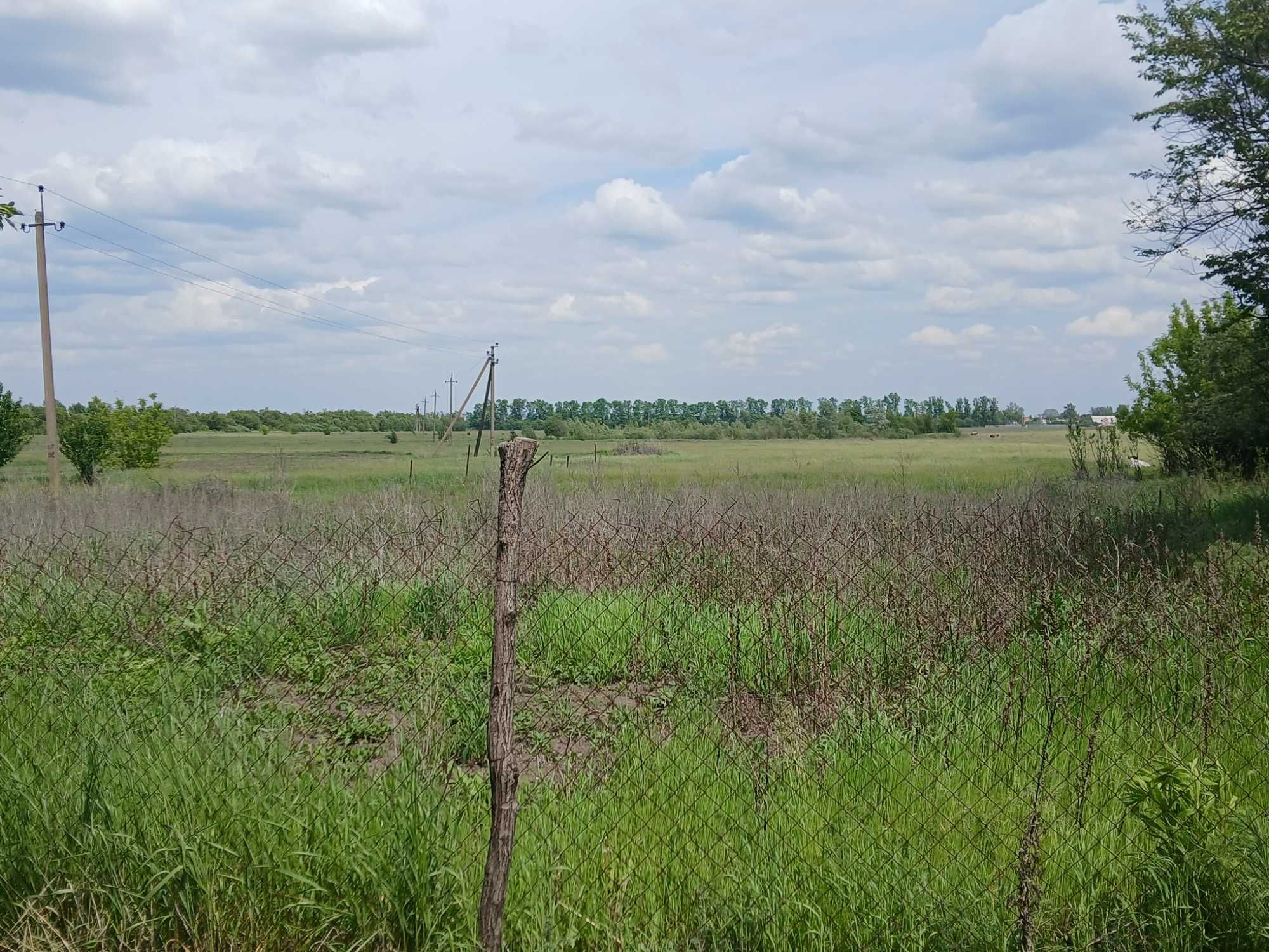 Продаж окремого будинку в пригороде Полтави.