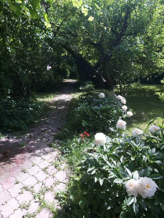 Продаж будинку, с. Ставчани ( Дібрівка)