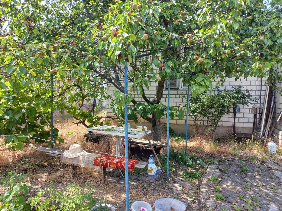 Продается дом ул. Инициативная (р-н Ингульского РОВД)