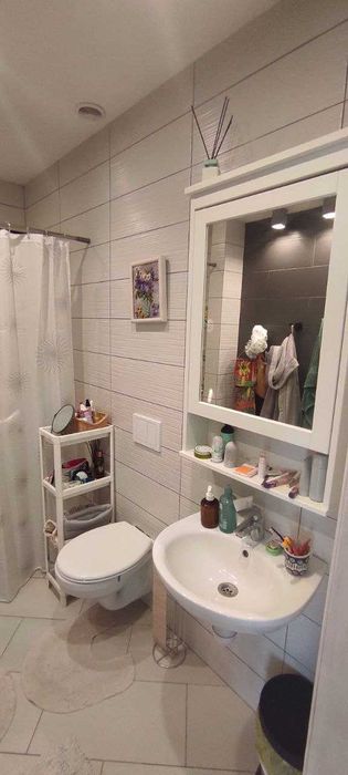 Від власника чудовий будинок. Музичі