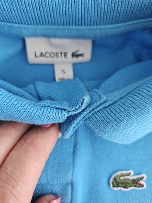 Polo menino Lacoste