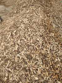 Zrębka biomasa liściasta do palenia
