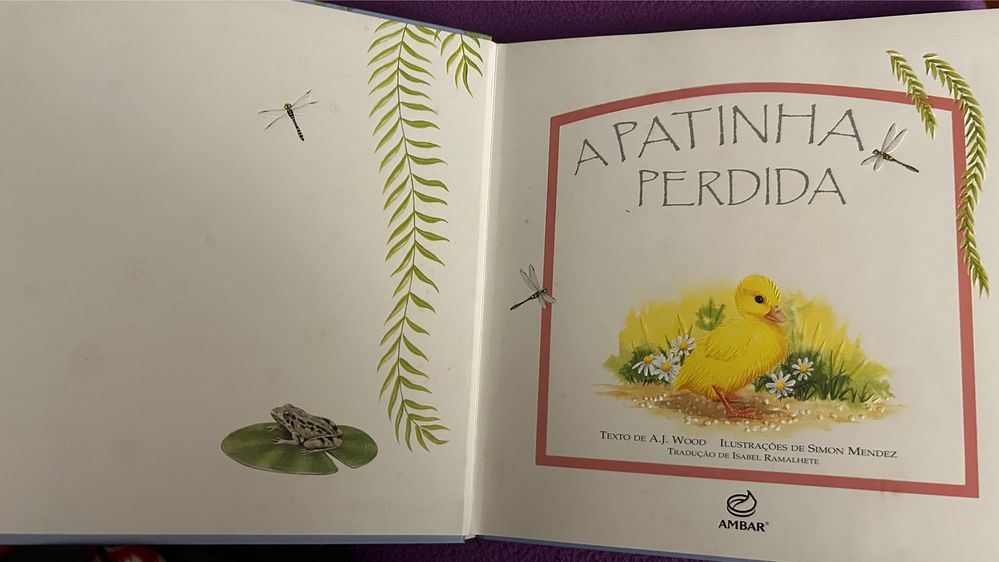 A patinha perdida, livro com relevo