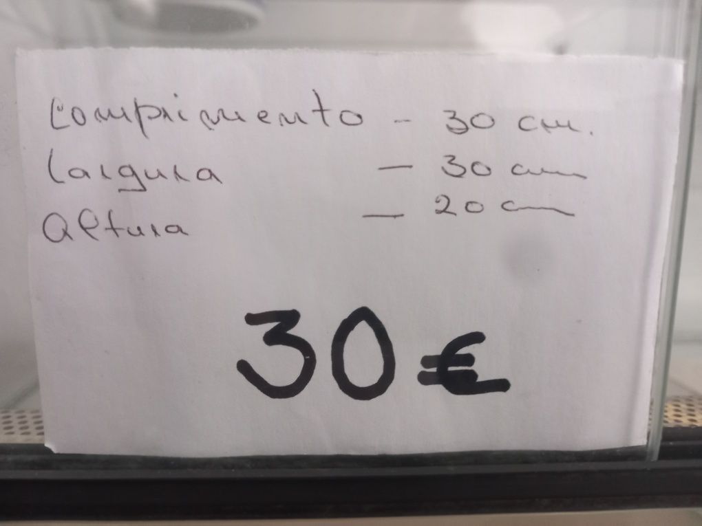 Terrário para répteis