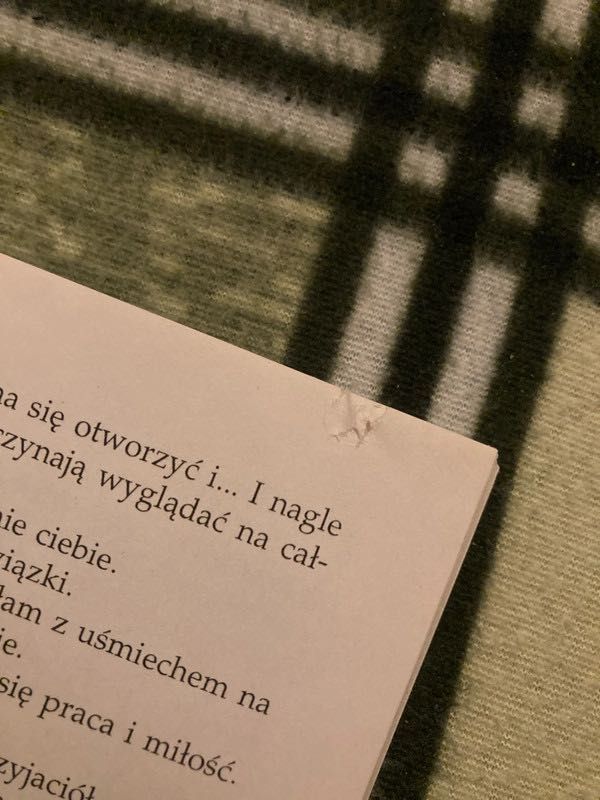 flirty bez znieczulenia lisa cach literatura w szpilkach