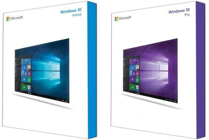 Microsoft Windows 10 Professional PL 32/64 bit