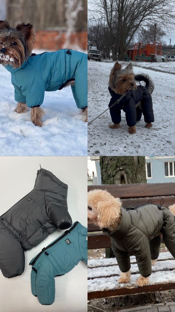 Одяг для собак на осінь зиму