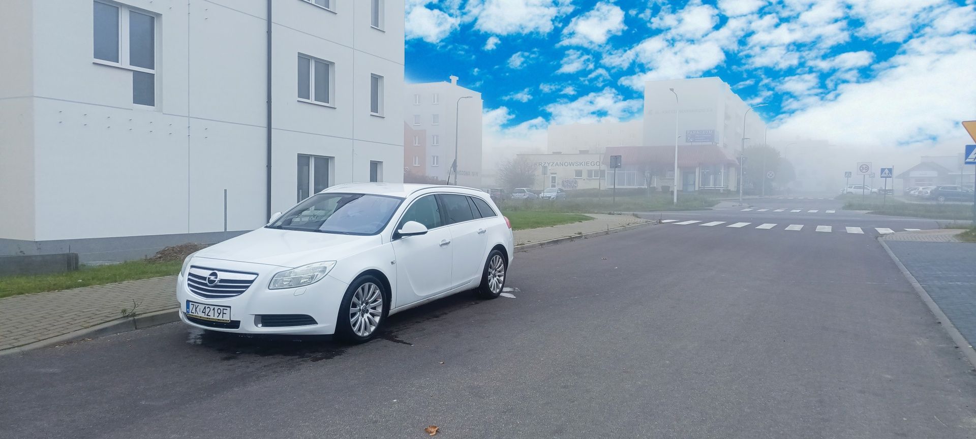 Opel Insignia 2.0cdti  2009r. 160km