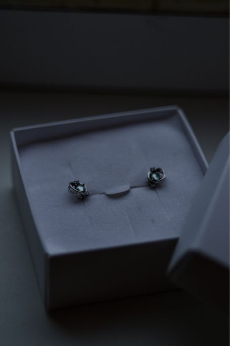 Сережки срібні «планета»