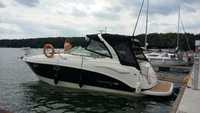 Chaparral 290 signature