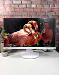 Монітор Fujitsu B24-9T·FHD·LED·IPS·Тонкі рамки·24"·з ПДВ та без·35 ШТ