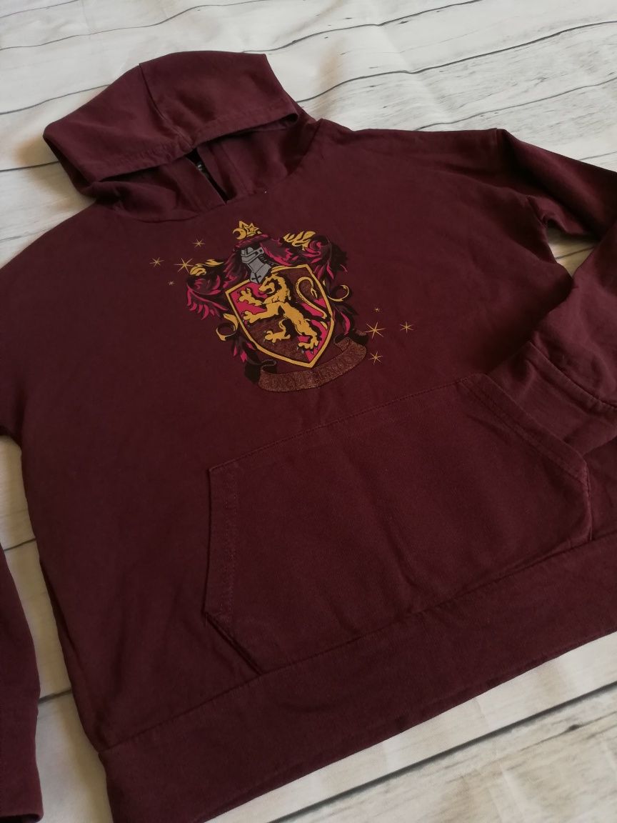 Bluza Harry Potter