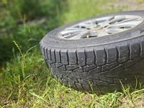 Шини в хорошому. Стані.
