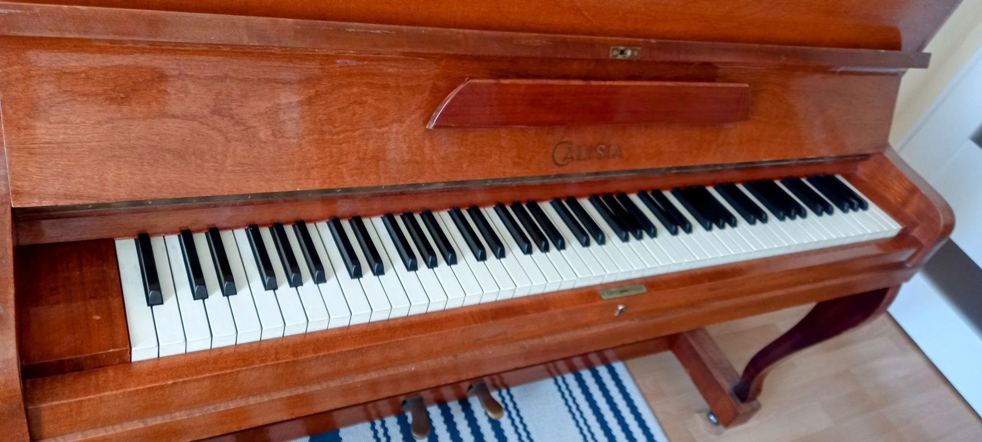 Pianino Calisia w dobre ręce