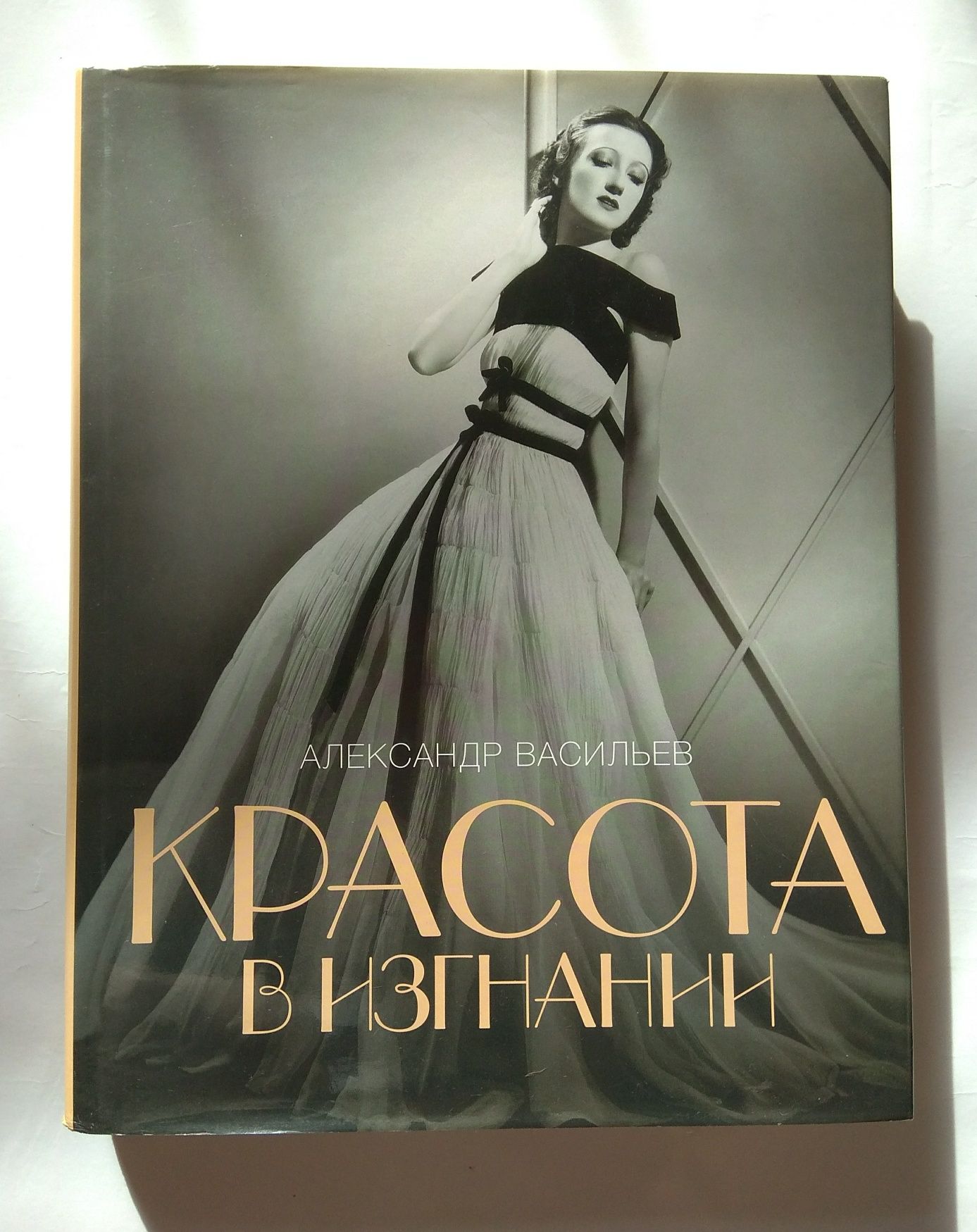 Александр Васильев "Красота в изгнании" 2005 год