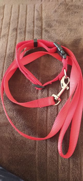 Ошейник для собаки