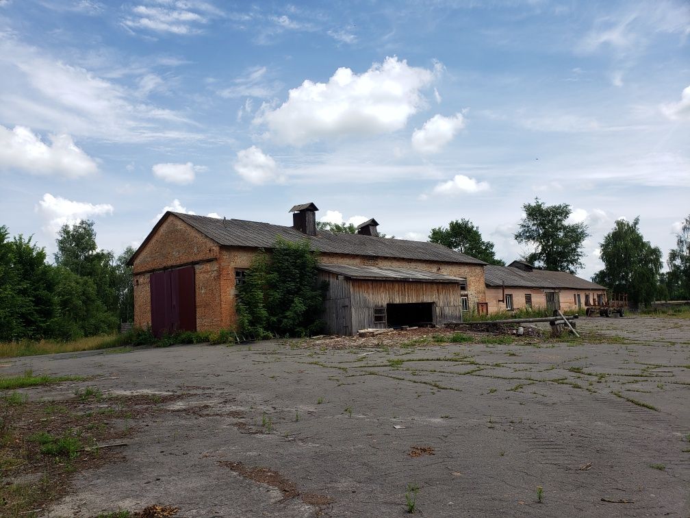 Продається виробниче приміщення  с. Серби