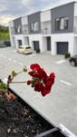 Продам таунхаус, який точно вартий  твоєї уваги