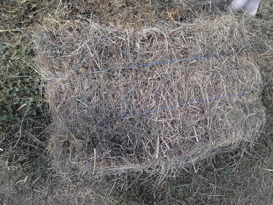 Продам сено в тюках