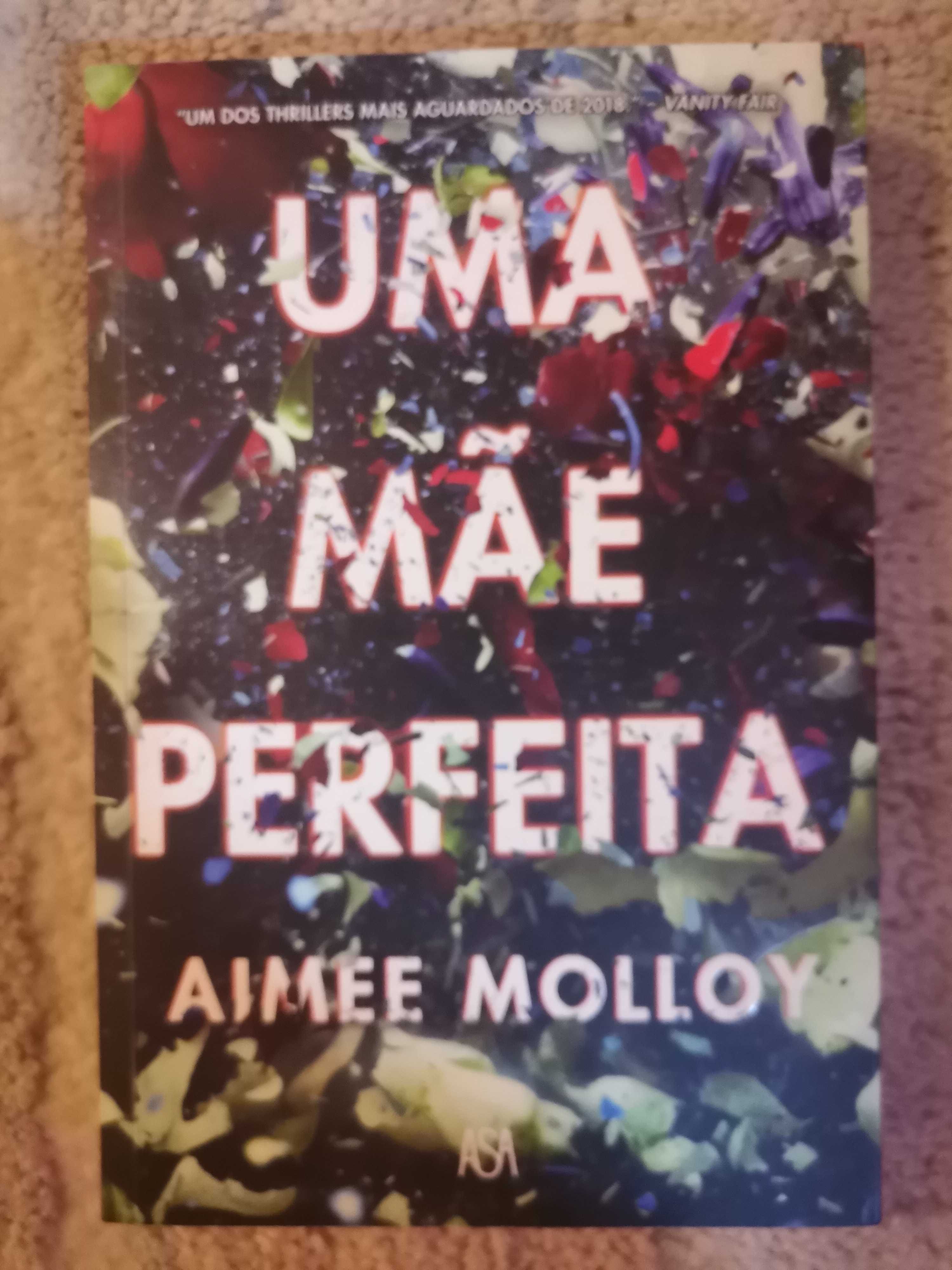 Aimee Molloy - Uma Mãe Perfeita