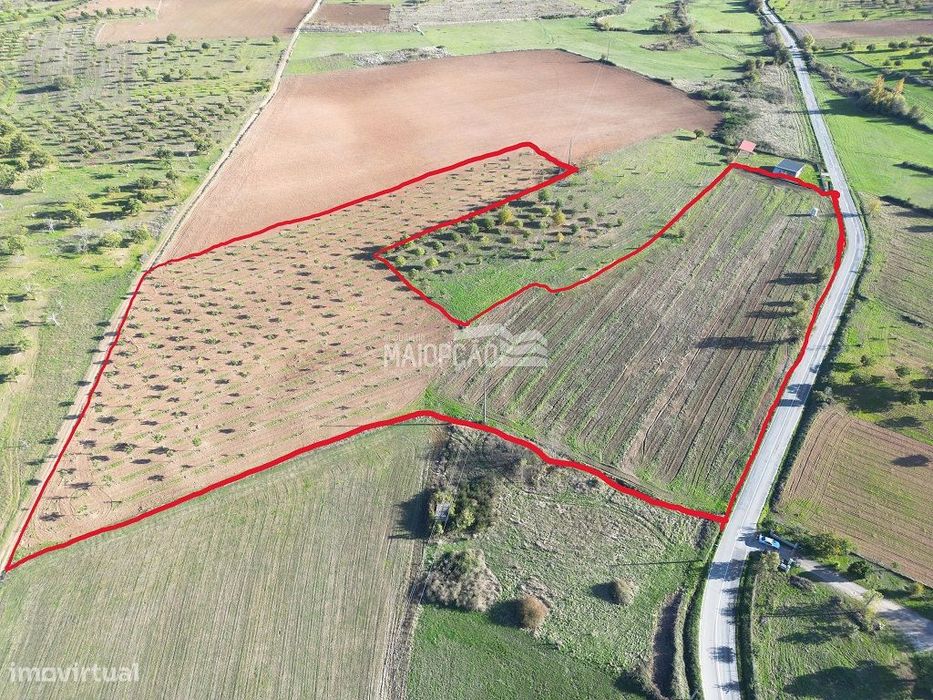 Propriedade C/Plantação de Nogueiras e Castanheiros