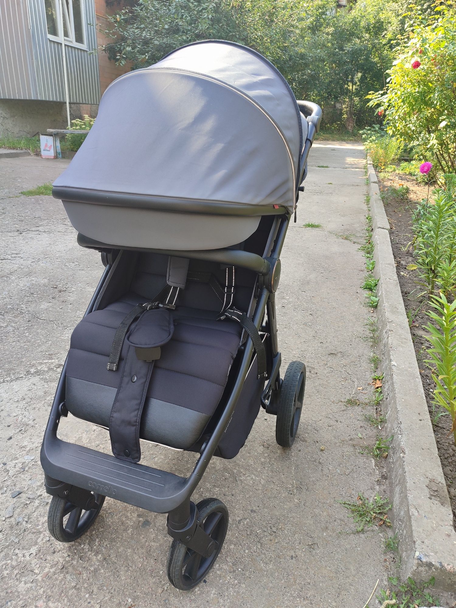 Коляска carrello bravo plus 2023