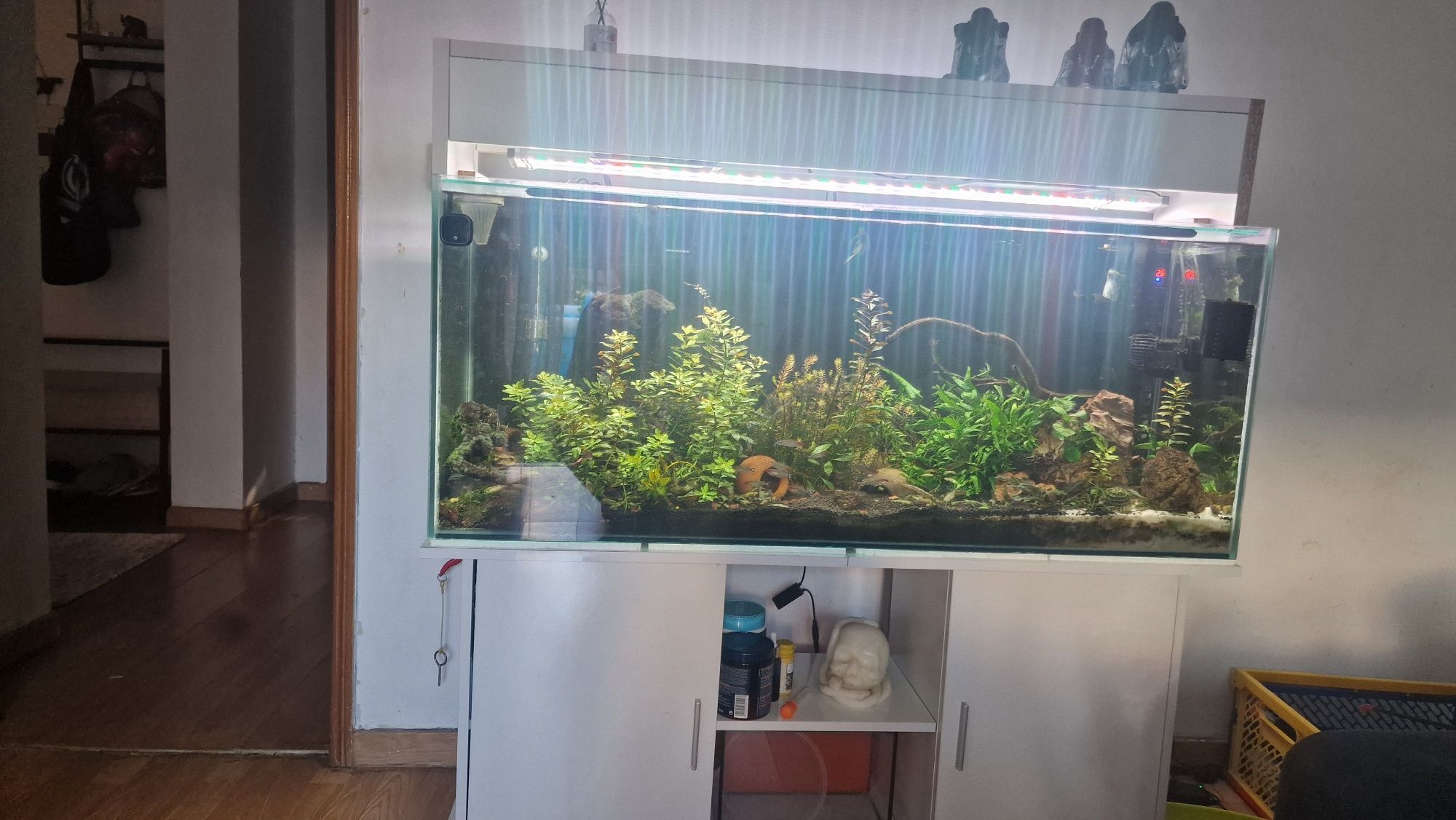 vendo aquario + movel e luzes