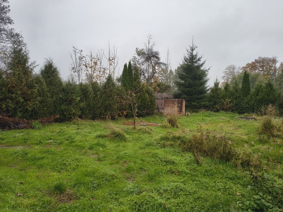 Wynajmę działkę w Ustroniu