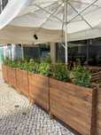 Canteiros para interior e exterior