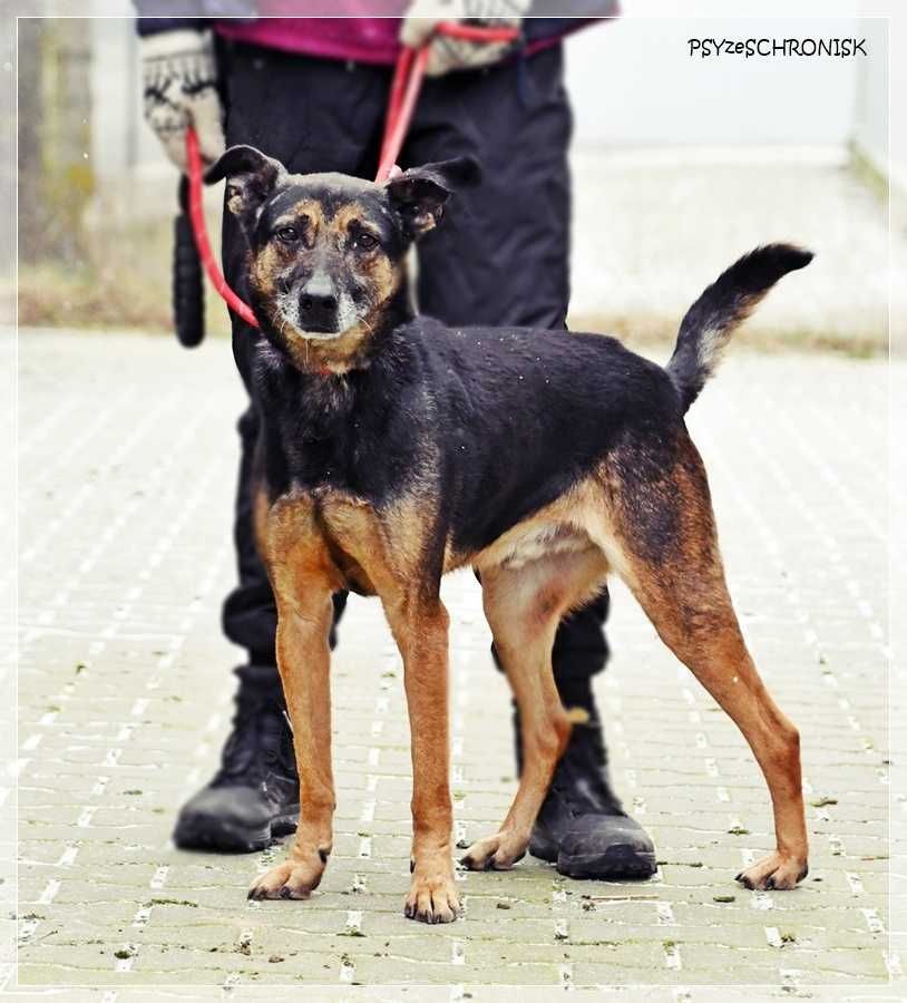Szener – tak rzadko się uśmiecha