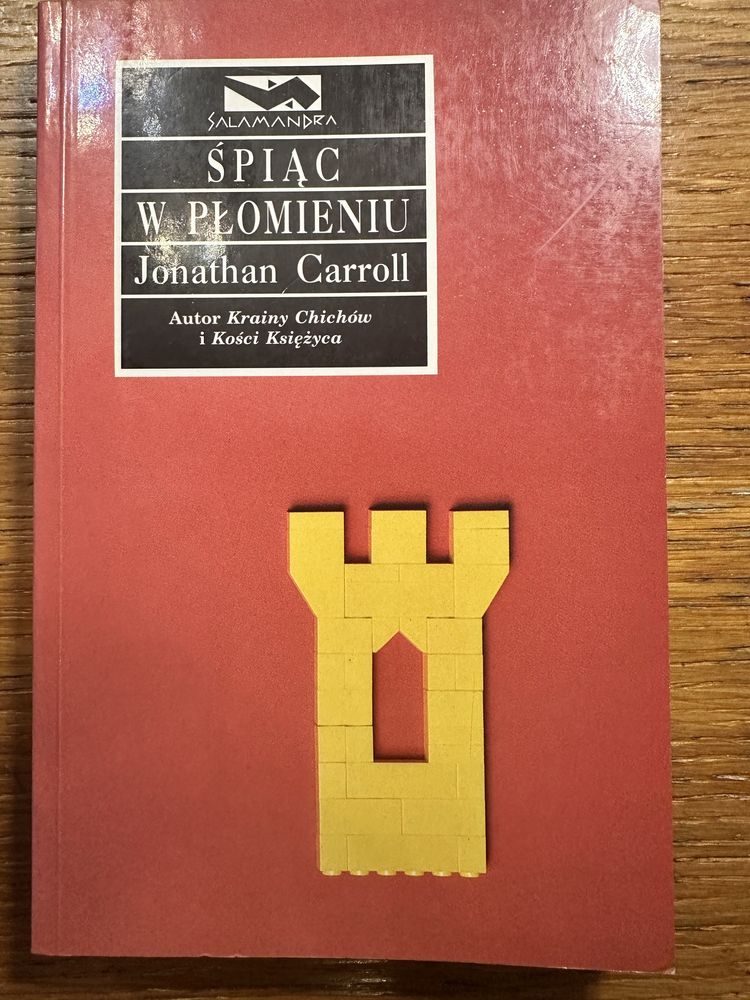 Śpiąc w płomieniu. Jonathan Carroll