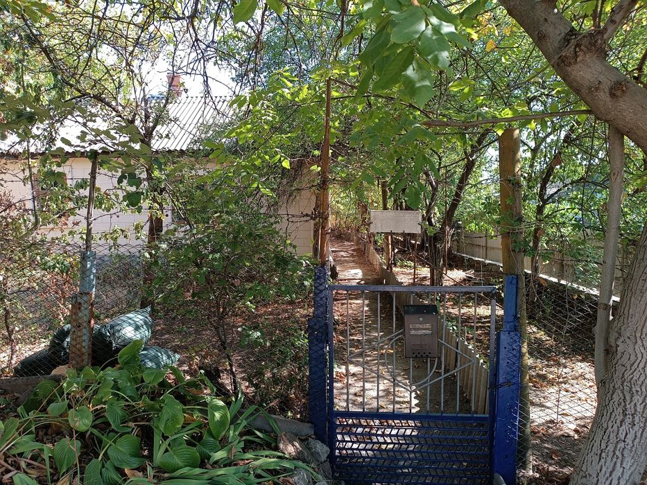 Дім (земельна ділянка)