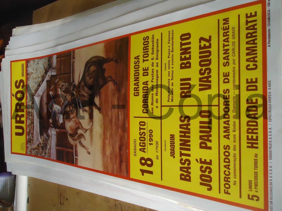 Toiros - Cartazes de Montra 6