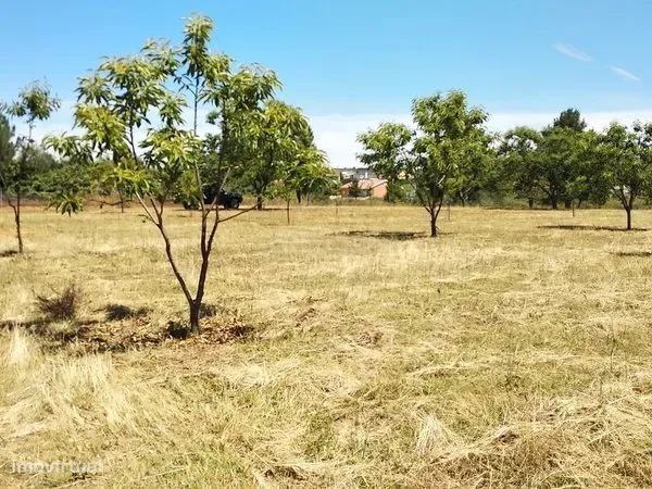 Não Perca Esta Grande Oportunidade! Terreno Rústico Com 2300 M2 Com El