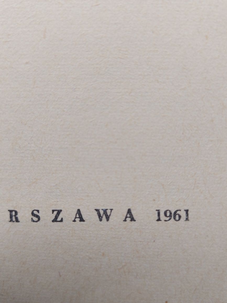 Książka dziecięca Dzieci z Leszczynowej Górki 1961rok