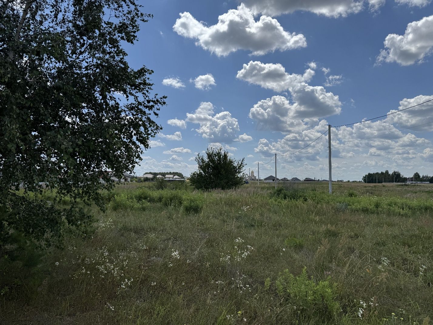 Приватизована земельна ділянка Городище.