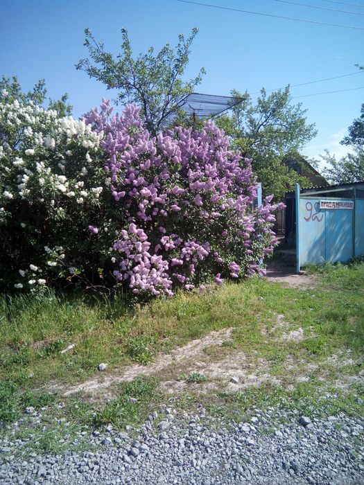 Продается участок16000 дол.