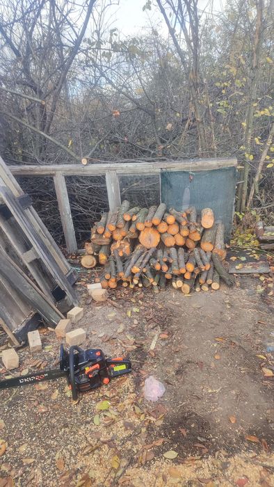 Спил и распил деревьев на вашем участке от 300грн