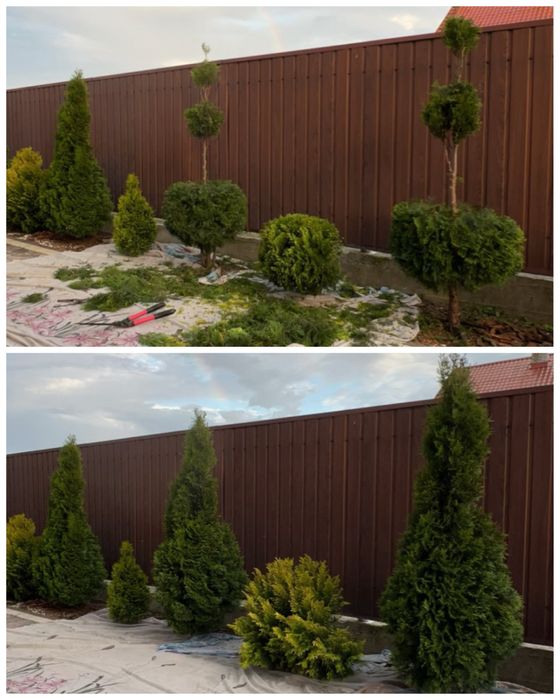 Послуги по обрізці кущів, покос газону великих площ