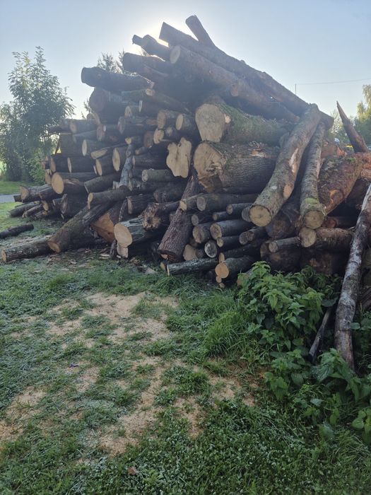 Drewno opałowe twarde