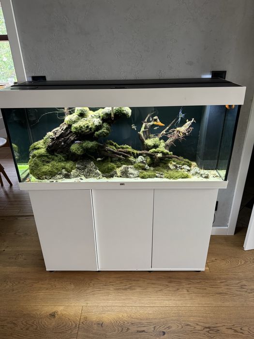 Juwel 240 sprzedam z życiem