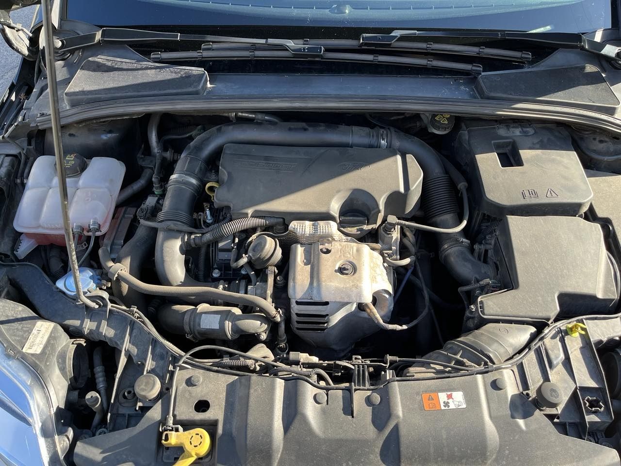 Продам Ford focus