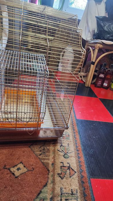 Большая и маленькая клетка для животных