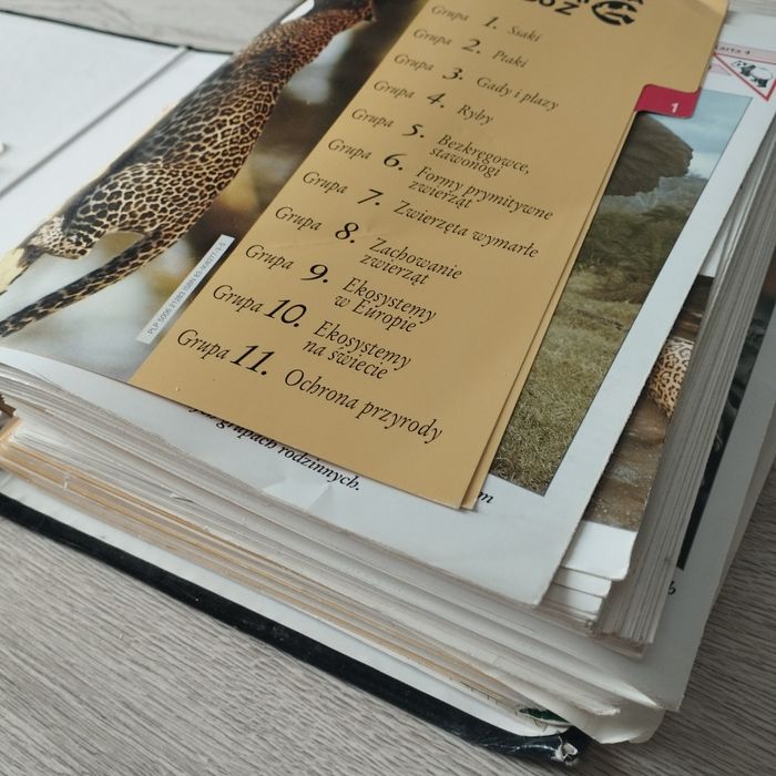 Encyklopedia zwierząt od A do z