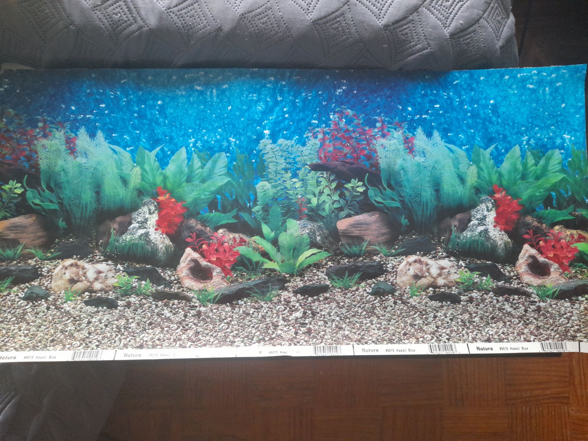 Aquario 60x33x30 com luz + decoração de OFERTA