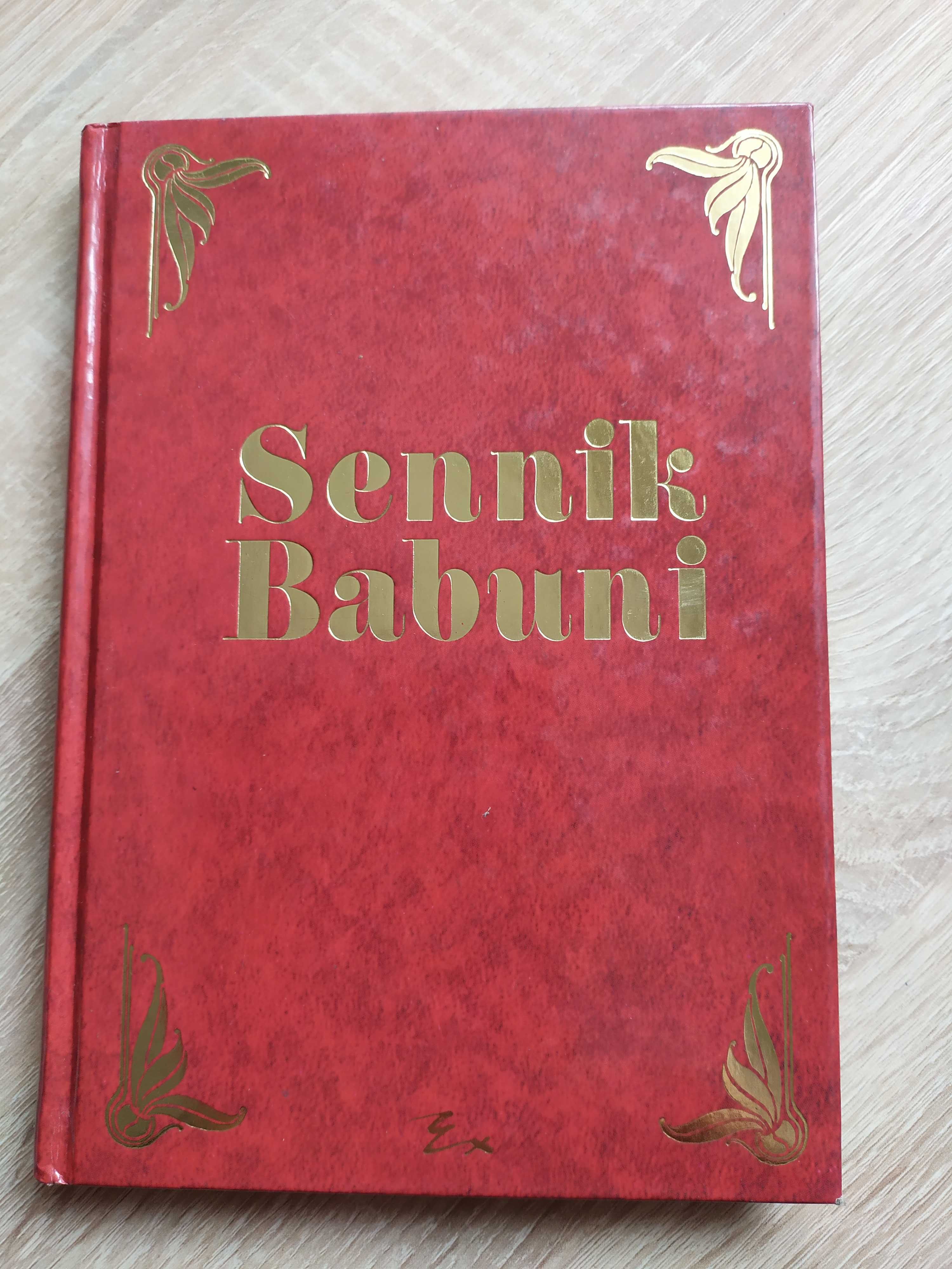 Sennik babuni, książka