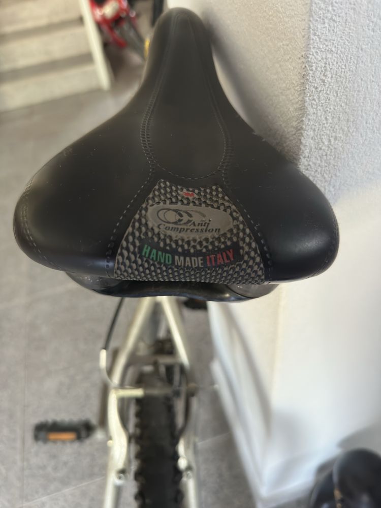 Bicicleta jovem/adulto
